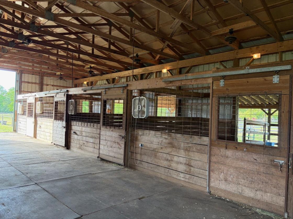 Turnkey Equestrian Estate on 10.9 Acres - photo 3