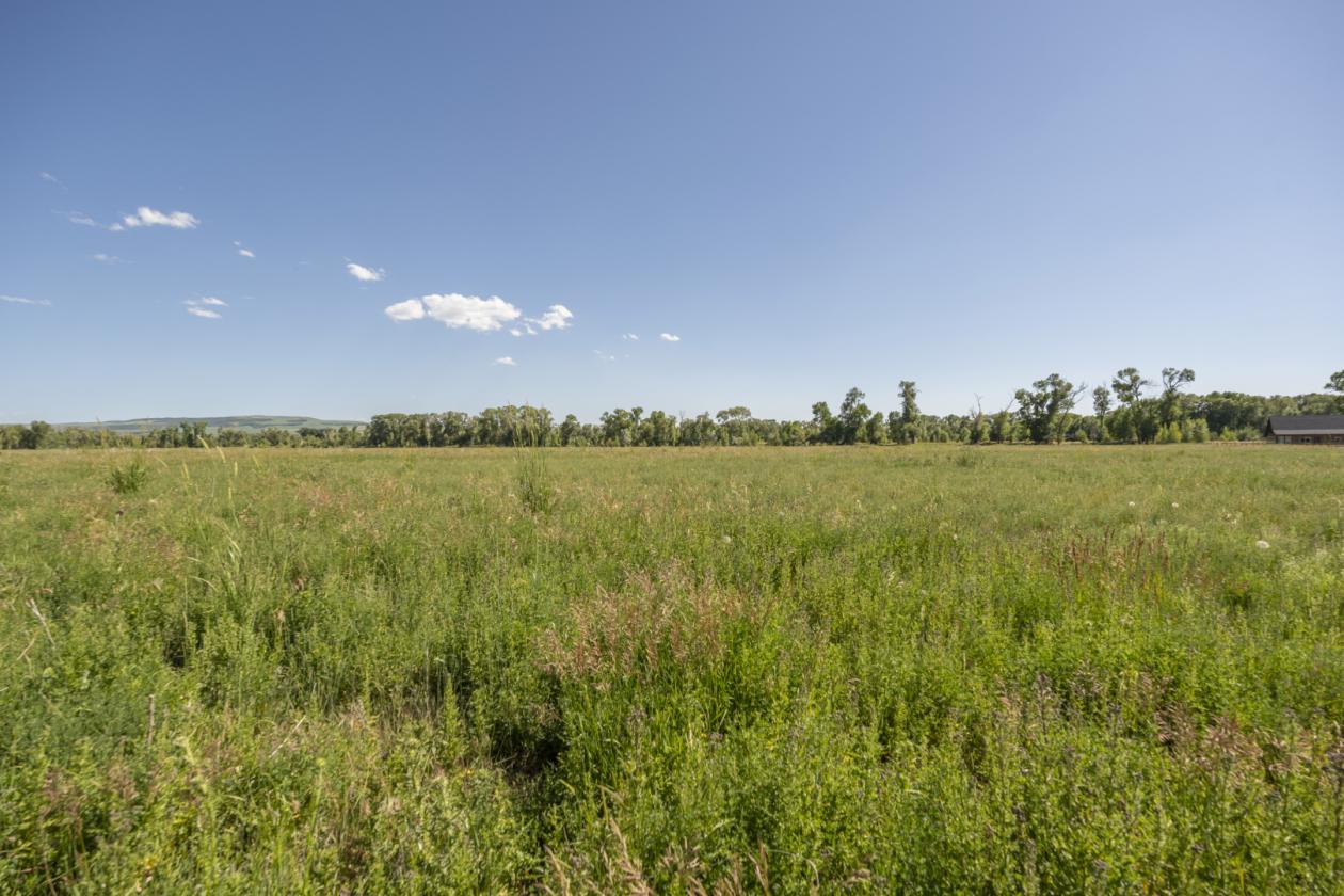 Beautiful Horse Property near the Snake River! - photo 23