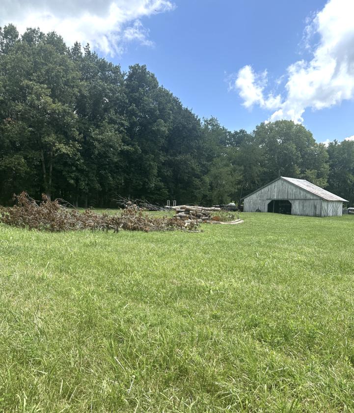 31 LEVEL ACRES w/HOME, BARN, 4 CAR GARAGE - photo 13