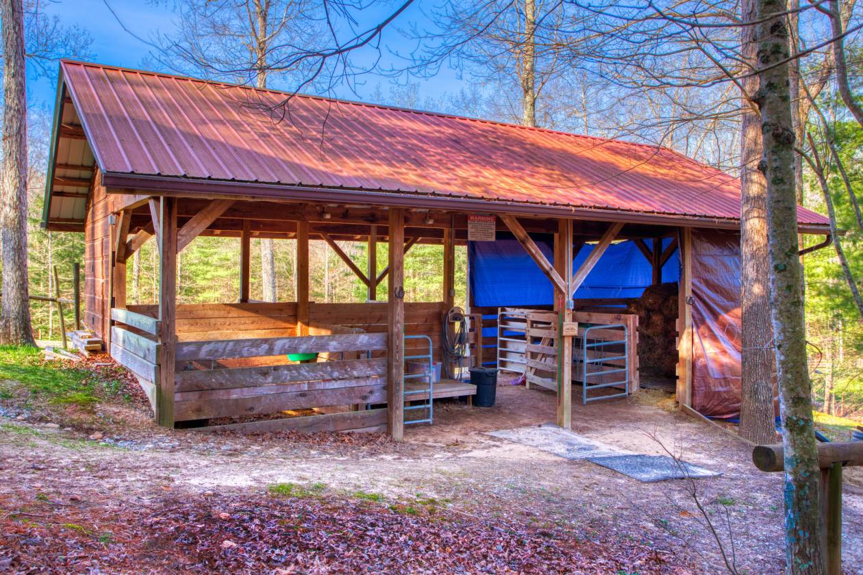 Direct Trail Access Cabin with 8.94 acres Spruce... Jamestown