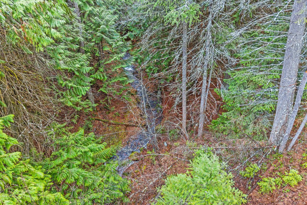 Level 20.65 acres w/Creek, Pasture & Woods - photo 20