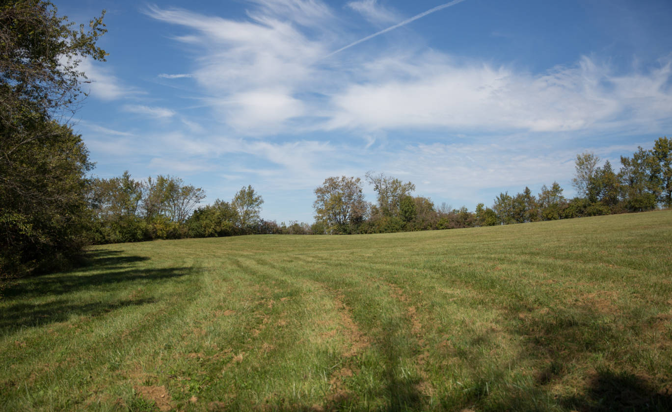 Own a piece of the Bluegrass! Beautiful Bourbon County land... Paris