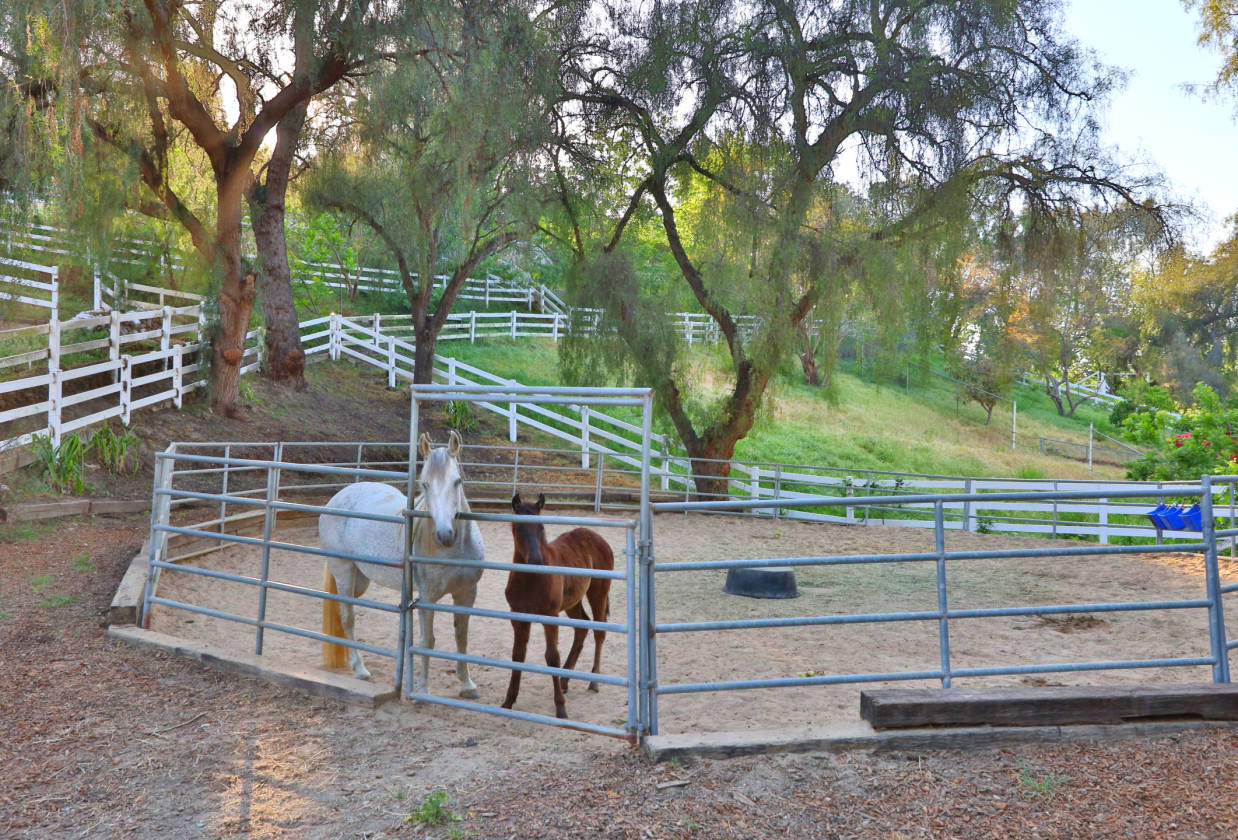 Palos Verdes Equestrian Delight! Rolling Hills Estates, Los Angeles County, California
