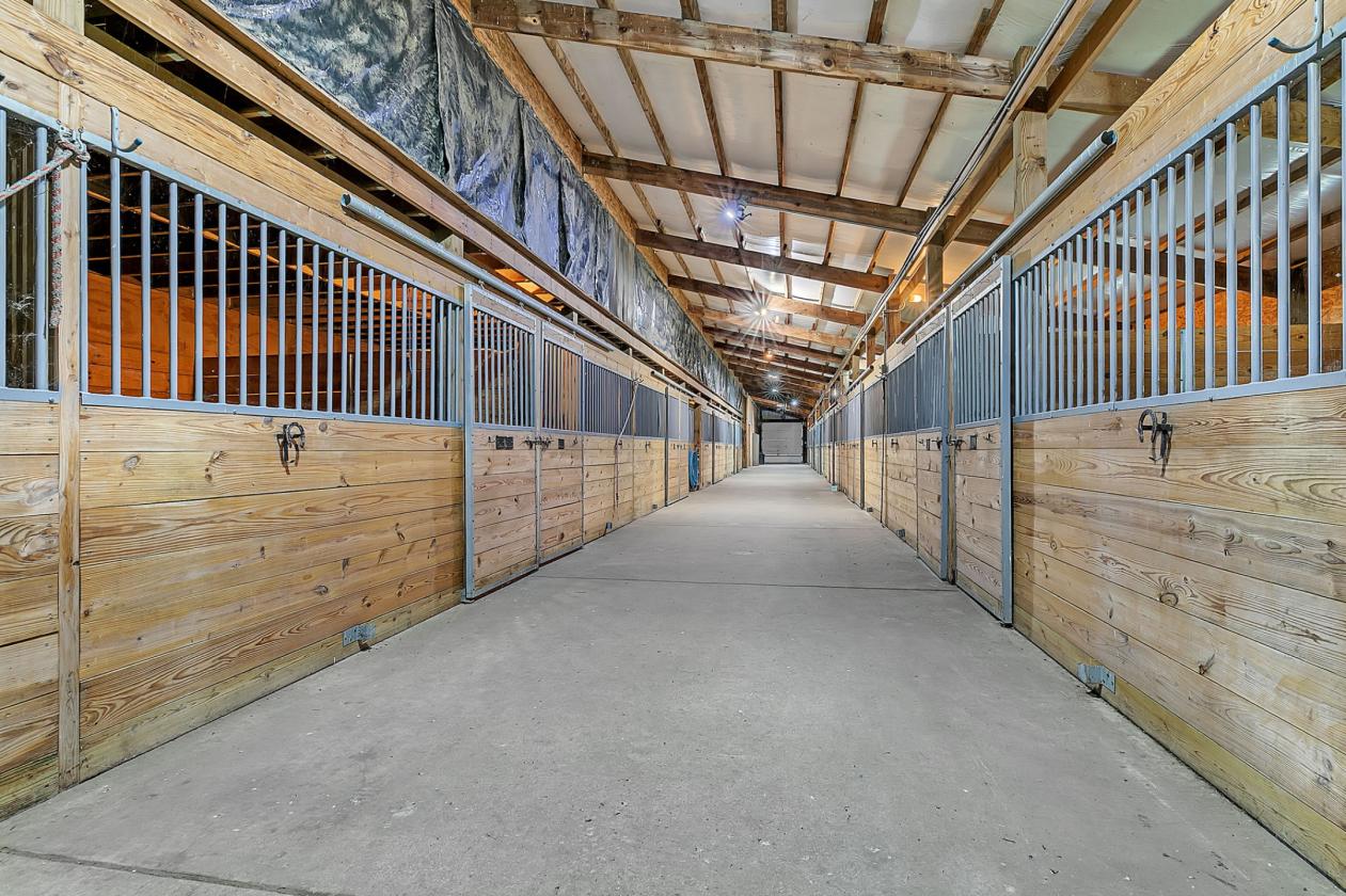 Luxury equestrian estate with a big arena - photo 28