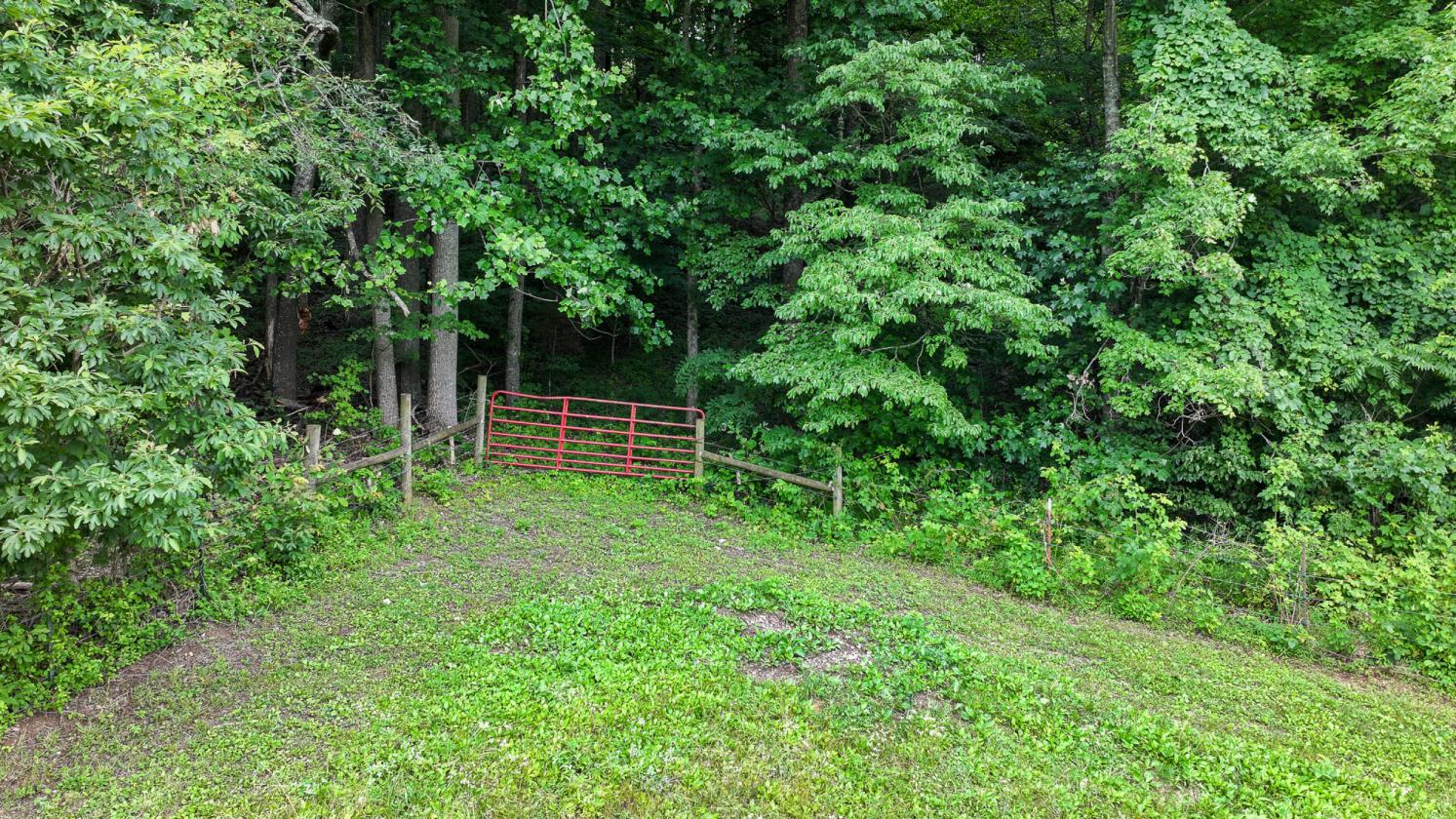 East TN Horse Property with Farmhouse! - photo 19