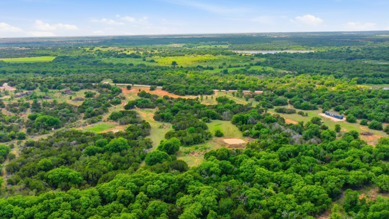 12-Acre Ag-Exempt Property - photo 9