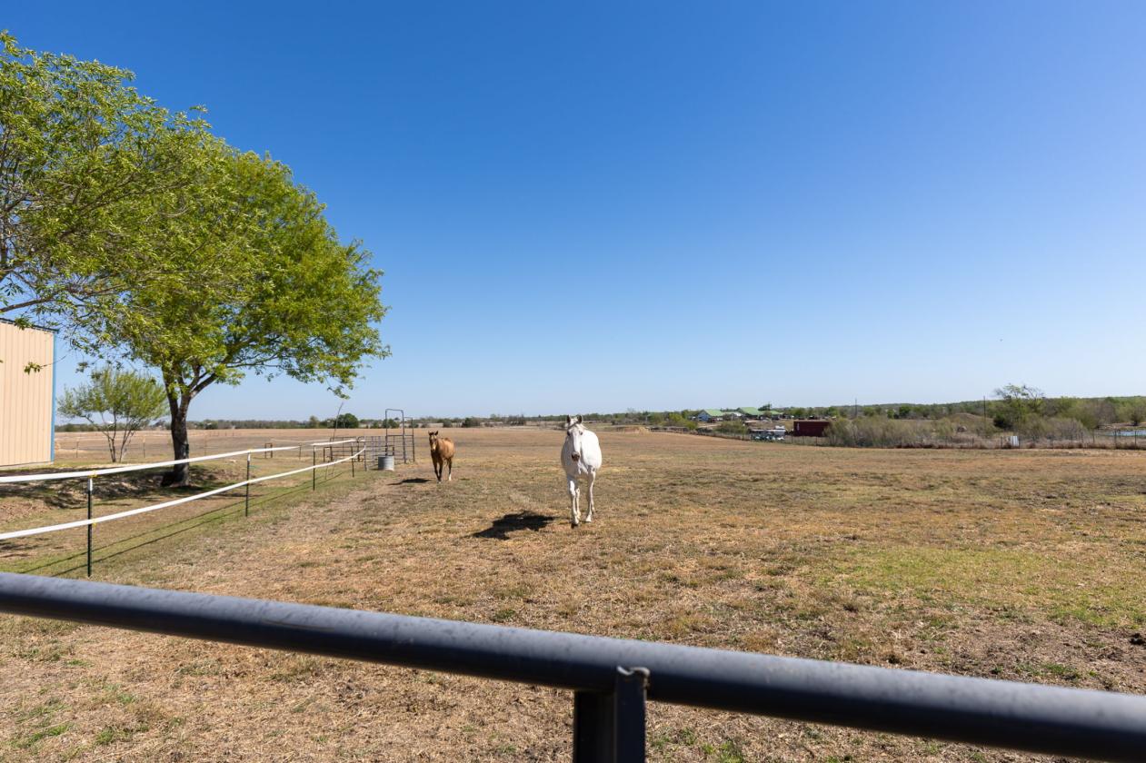 27 acres, pastures, grazing - photo 25