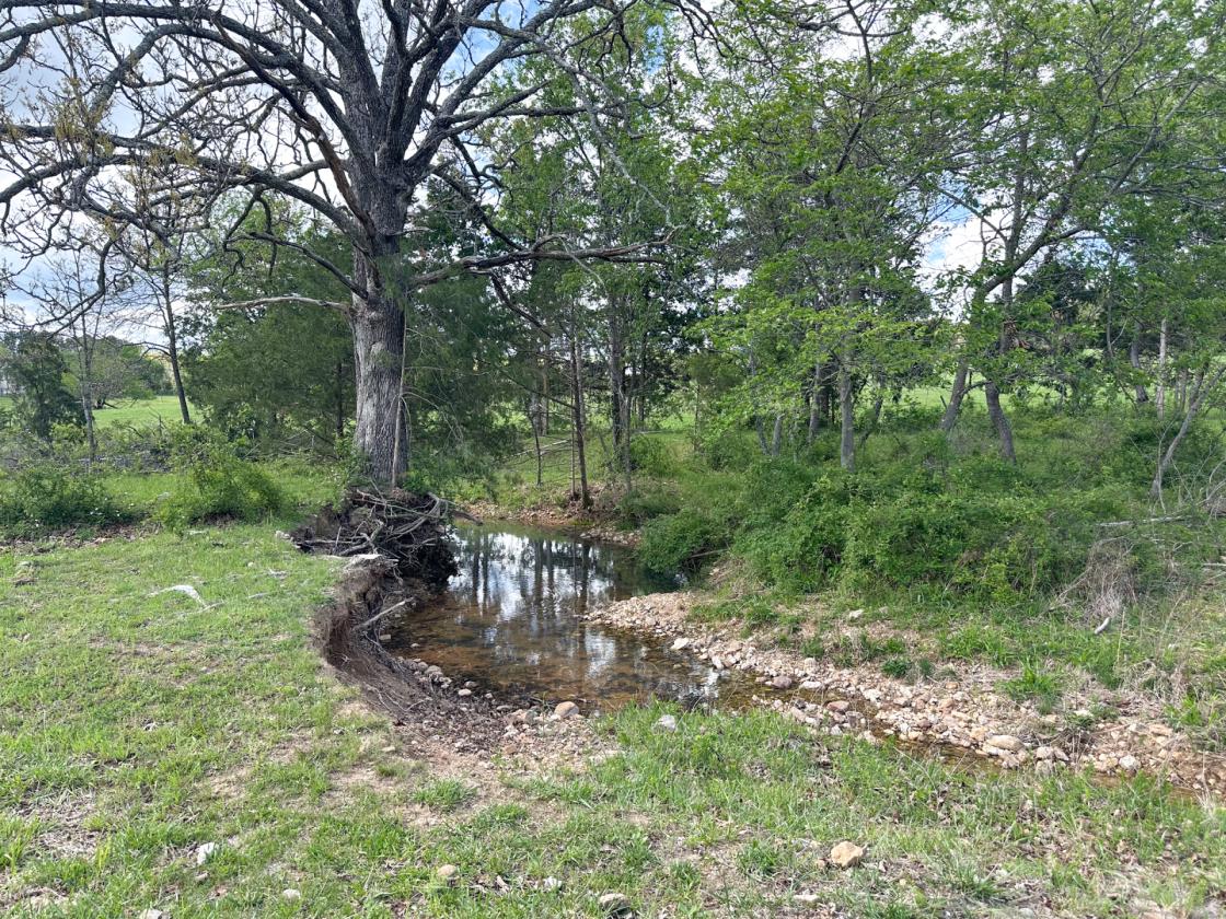 139 Acre Farm - Horse & Livestock Ready - photo 18