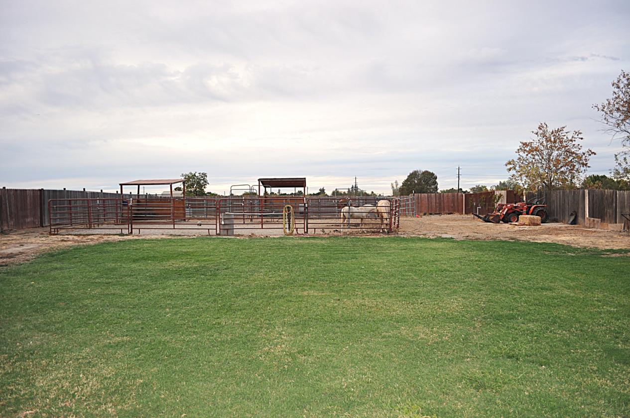 In-Town Horse Property with Charming Ranch Home - photo 5