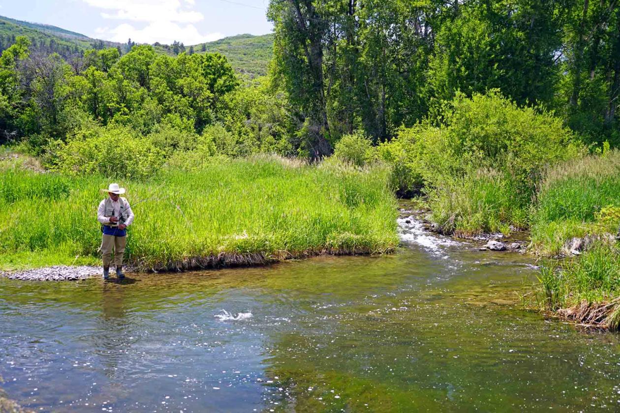 Ranch on Sweetwater - photo 10