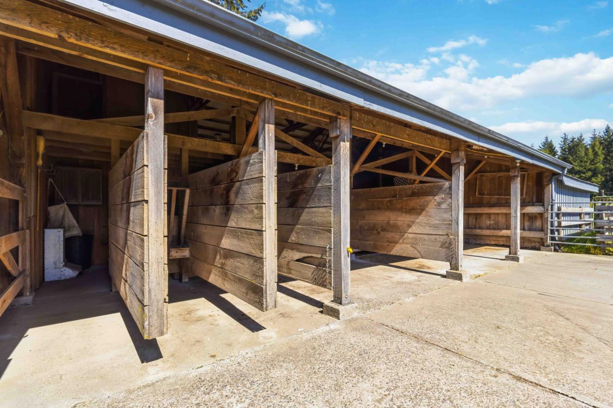 15 Beautiful Equestrian Acres backing Timberland - photo 9