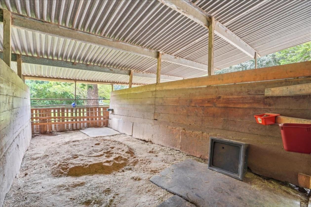 Working Horse ranch on Maui - photo 8