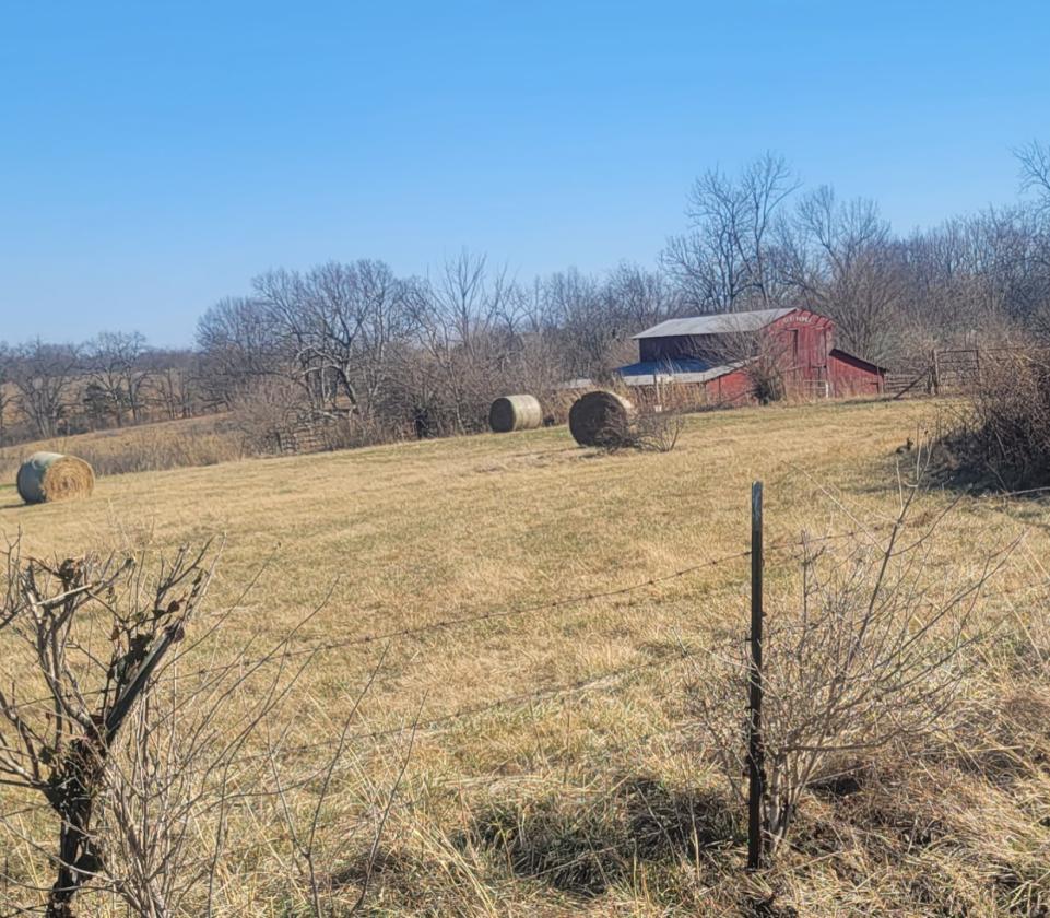 Investment opportunity/Equestrian Facility - photo 18
