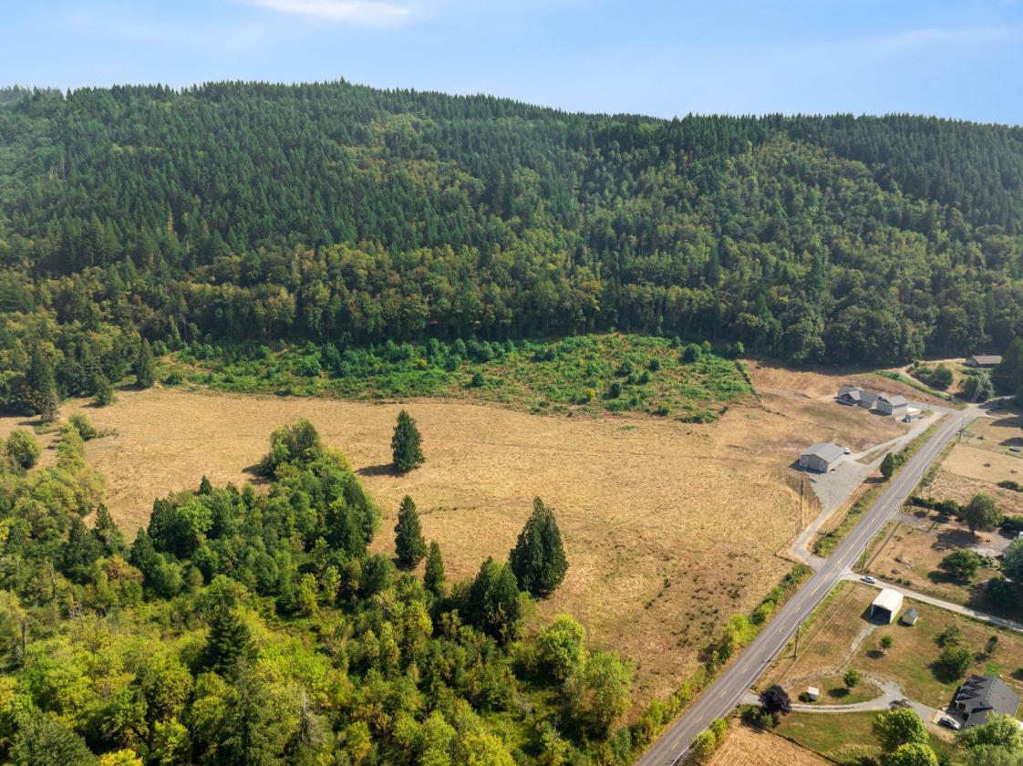 33.59 Acres with Barn, Shop & Mt. St. Helens Views - photo 11