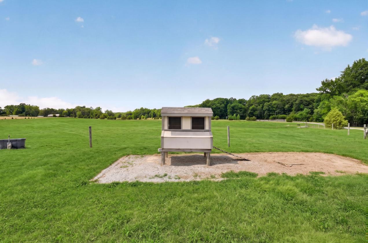 46 Acre Turn Key Gated Equestrian Estate - photo 12