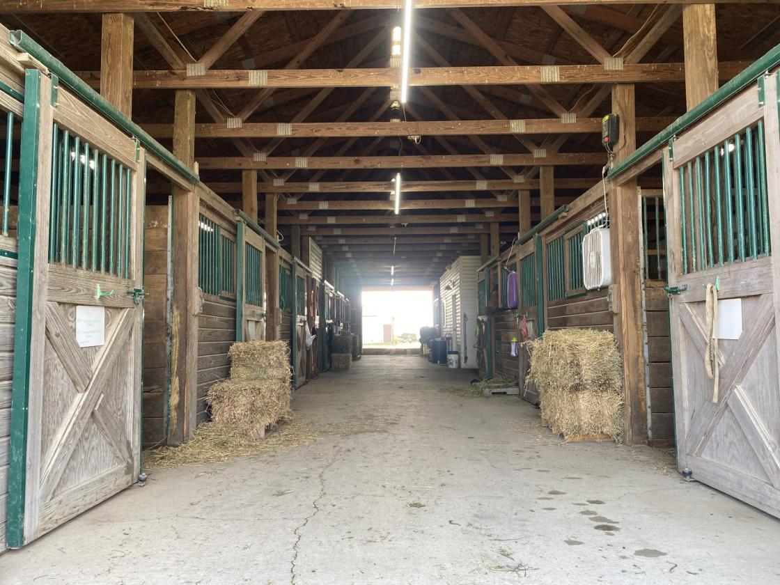 Equestrian Paradise on 29 Scenic Acres! - photo 5