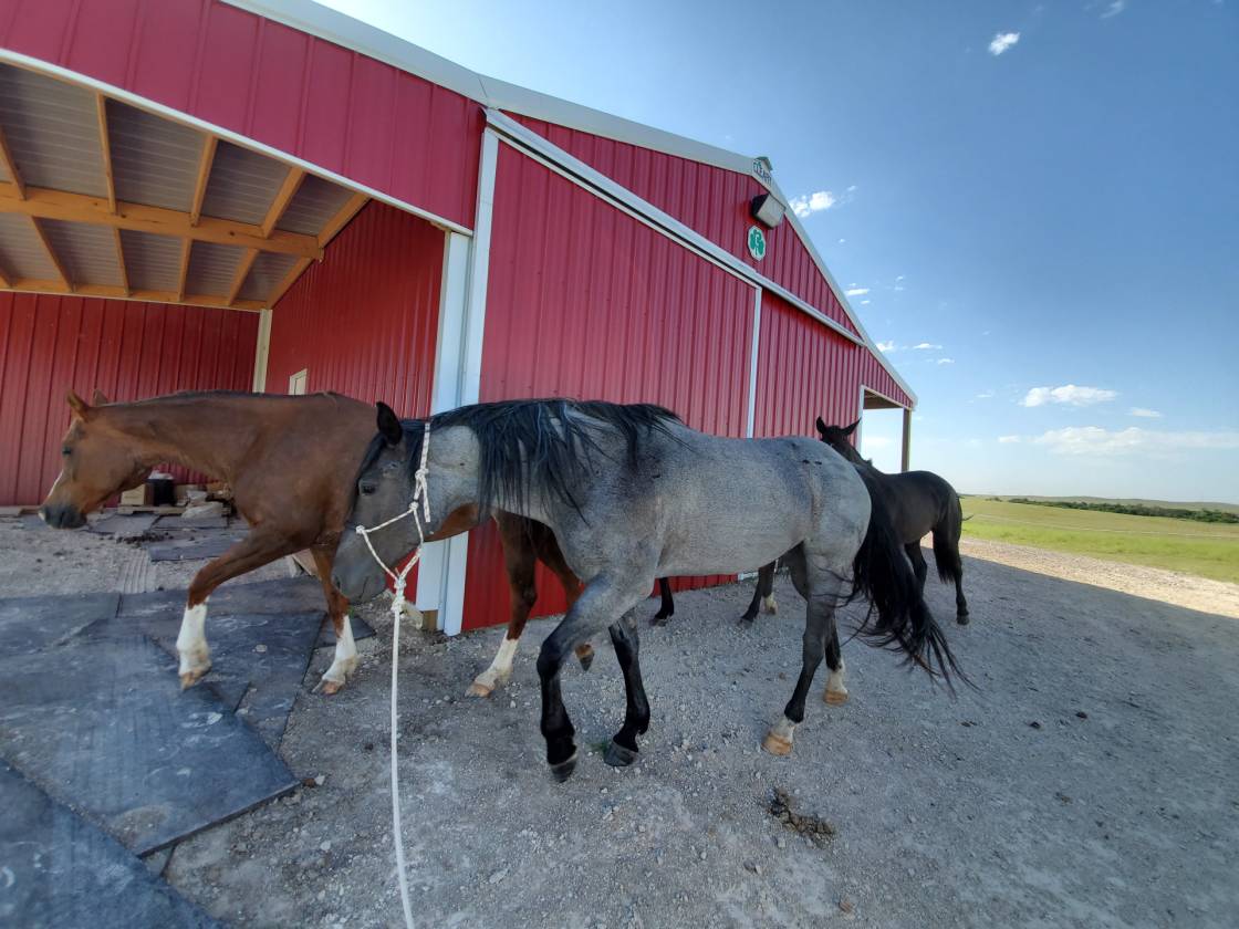 Build your dream equestrian estate! Price reduced another 17,500