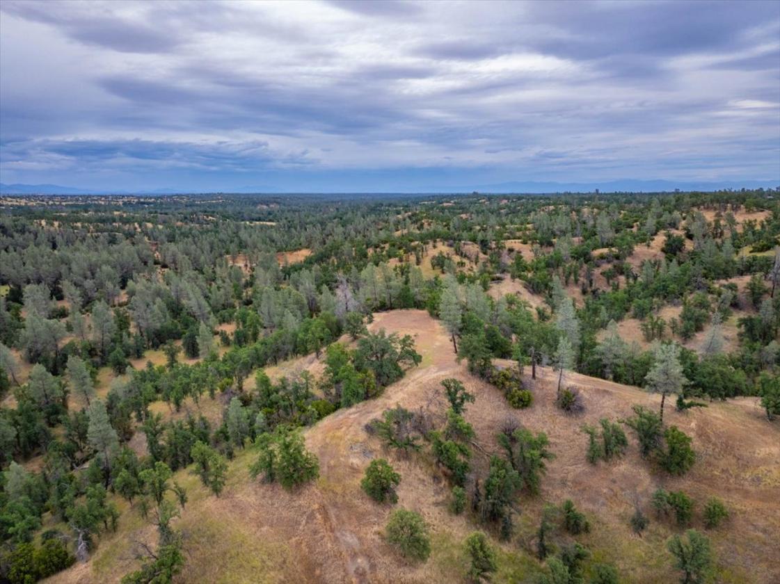 480 Acre Litte Crane Creek Ranch - photo 16