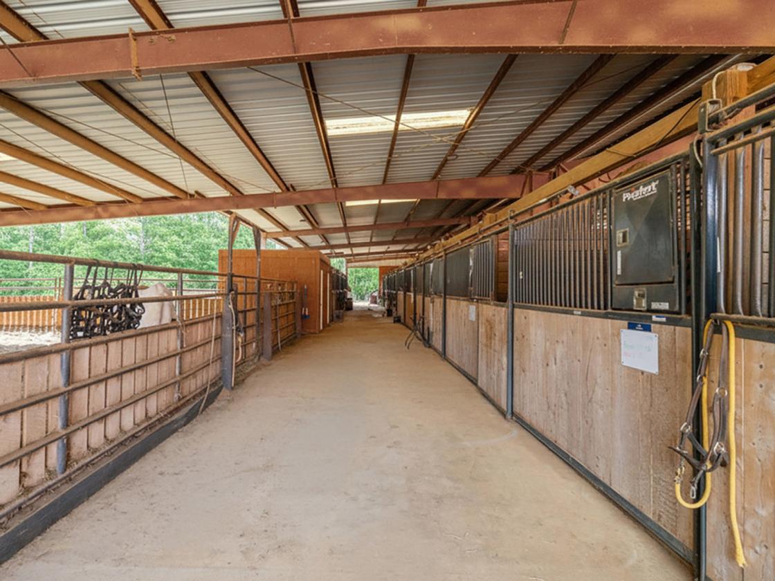 52 Acre Equestrian Estate - photo 26