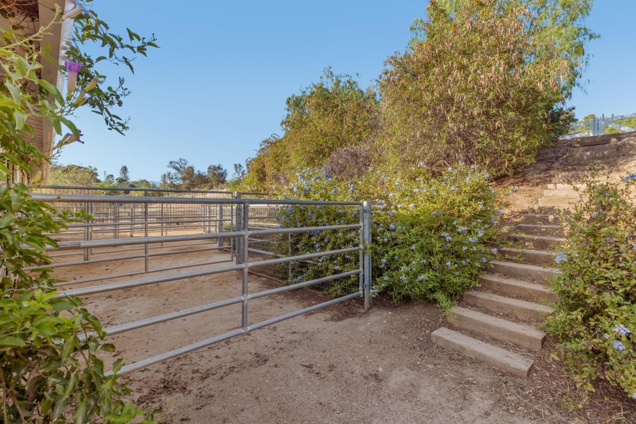 A Different Kind Of California Dream - photo 23