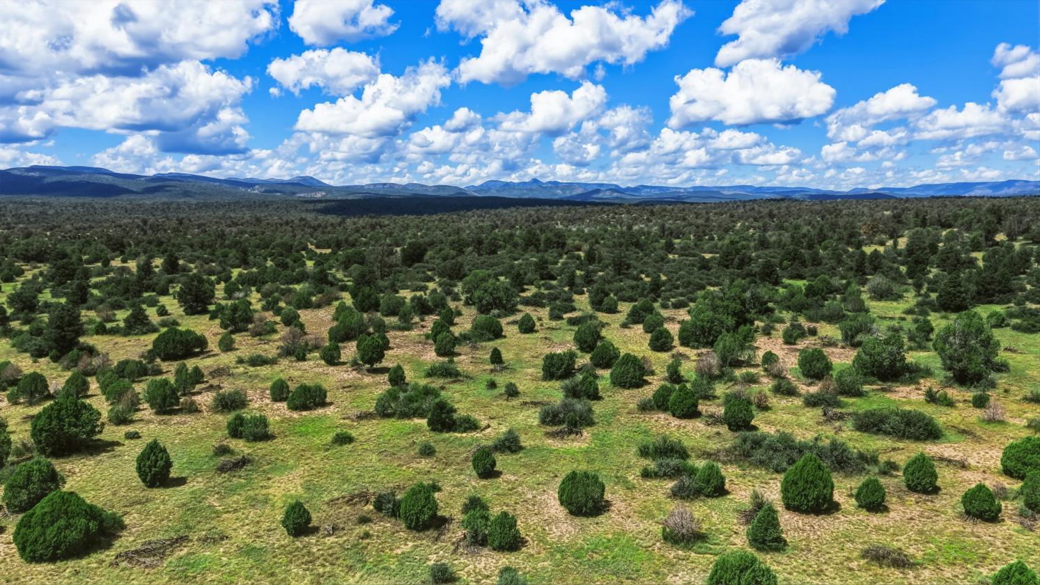 200 Acres in Yavapai County - photo 12