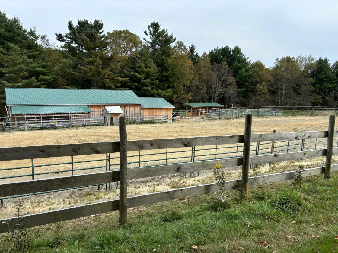 Horse Prop.: Ranch(Handicap) cabin, 55 ac. - photo 18