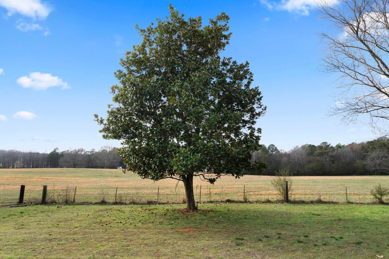 A RARE 24.95-ACRE OPPORTUNITY - photo 10