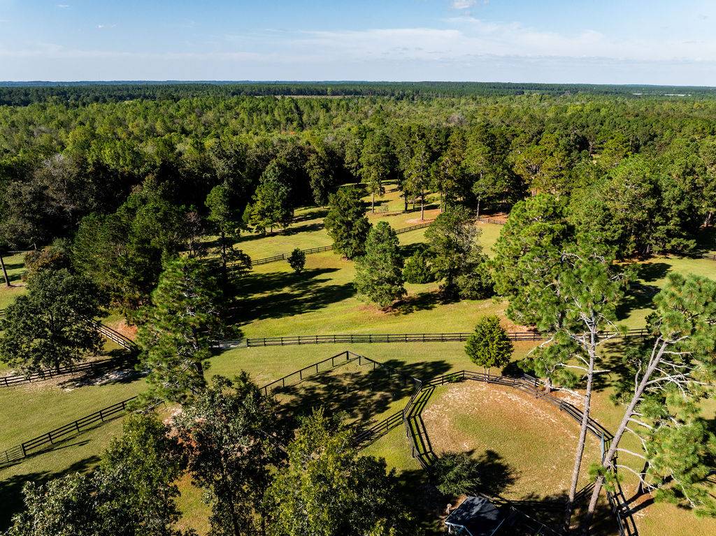 Miles of trails right off Camden equestrian estate - photo 4