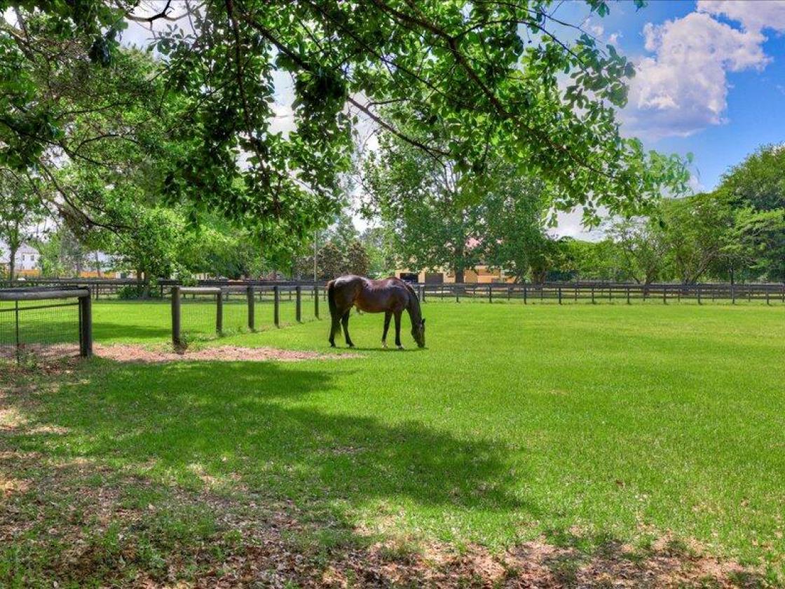 Daisy Hill Farm - Horse Property - photo 3