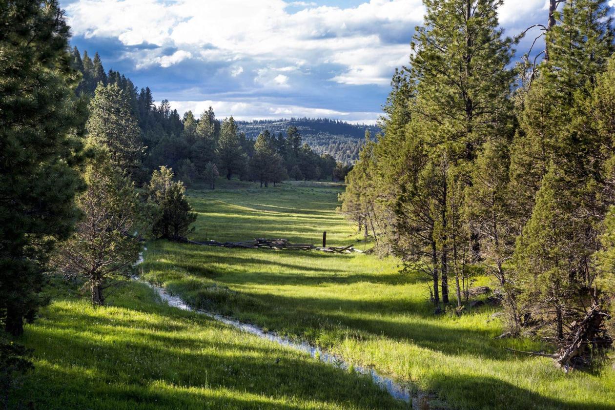 Aspen Ridge Ranch - photo 2