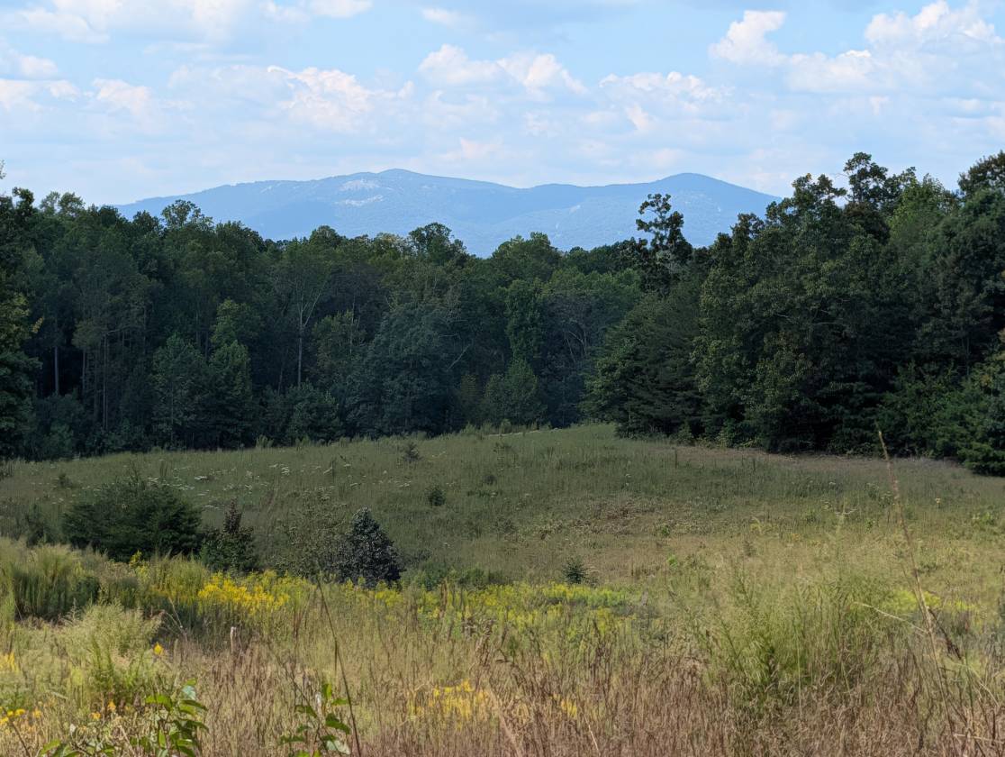 Horse Property for sale.