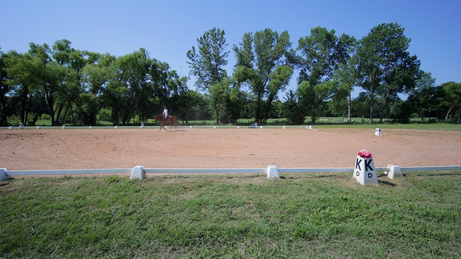 REINING - EVENTING OR WEDDING VENUE - photo 16