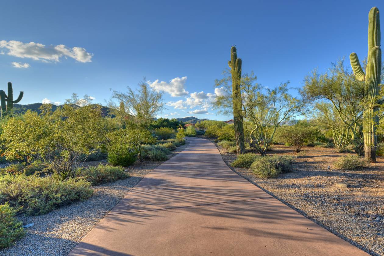 Creek Frontage! Abuts Hundreds of Acres of Open Space! Cave Creek