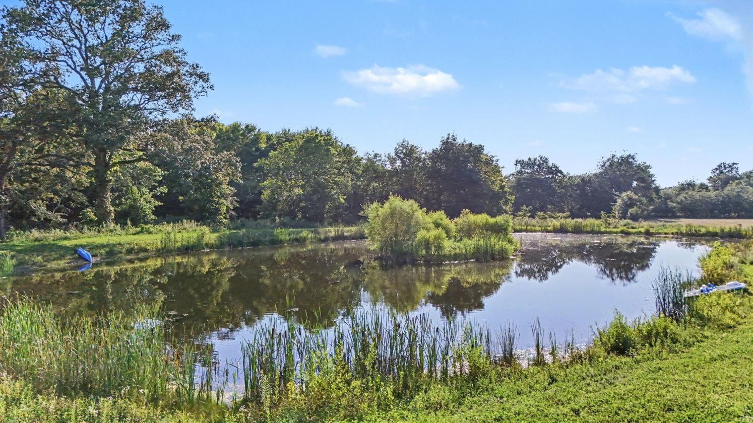 Premier Equestrian Country Estate |24 Acres - photo 12