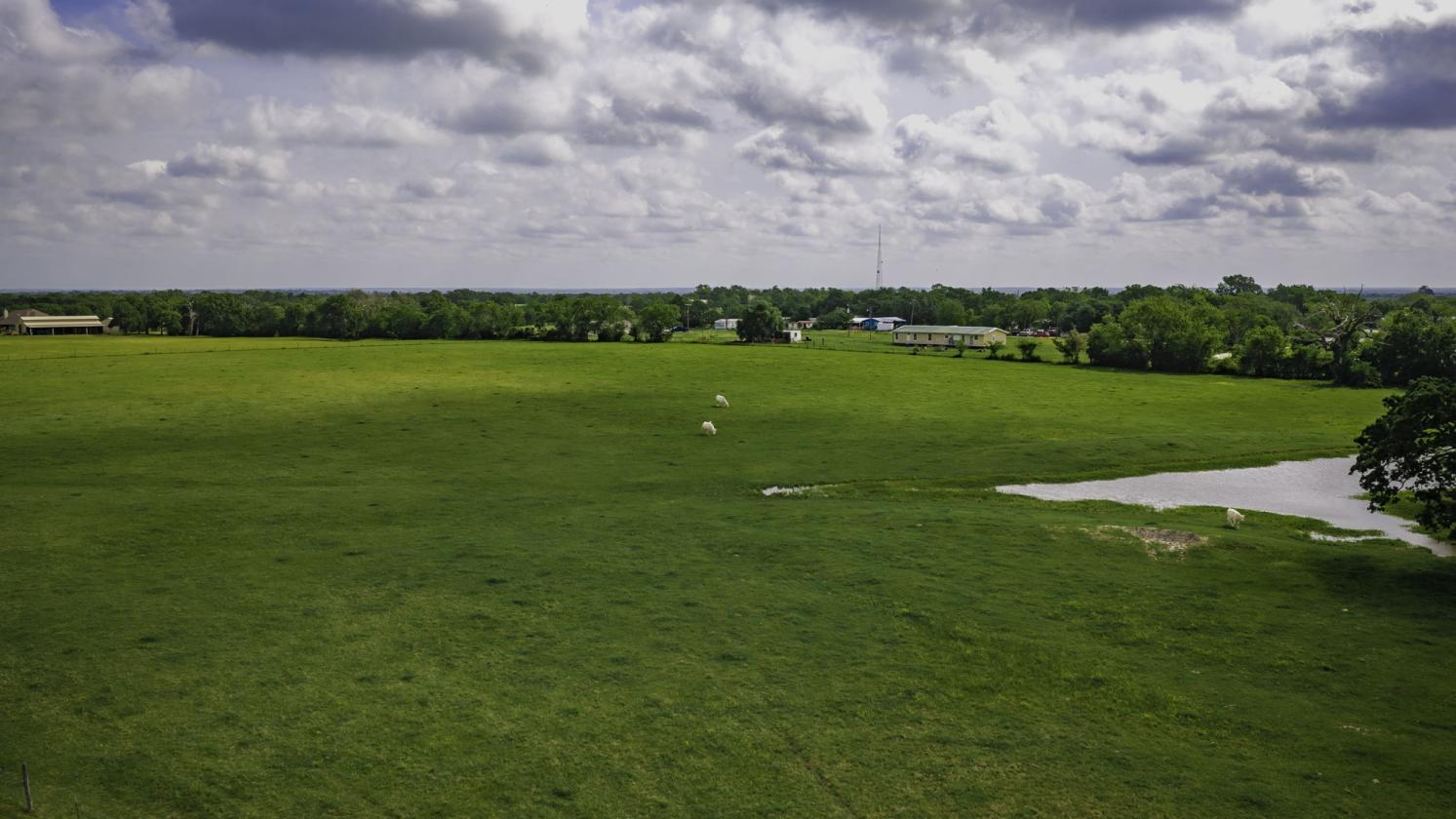 Premier Property with Luxury Home, Barn, and Arena - photo 29