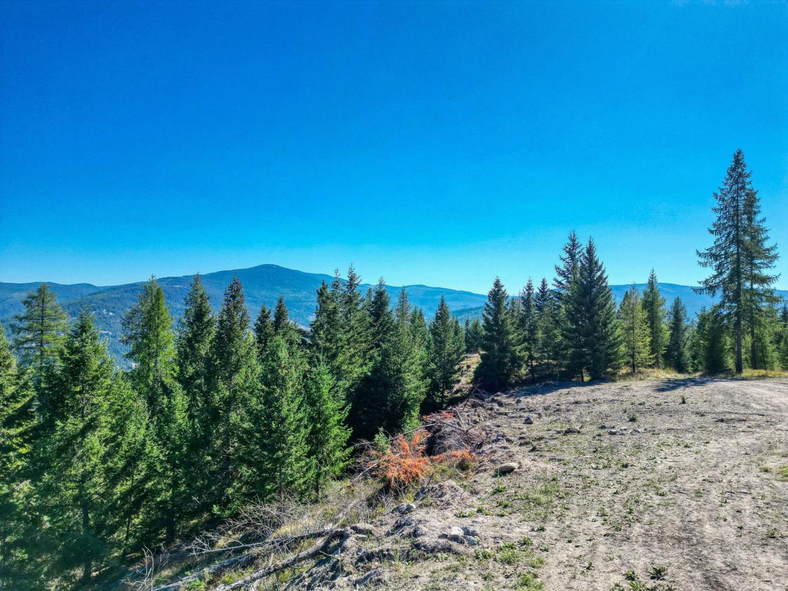350 Acres & Private Access to MT Forest Service - photo 18