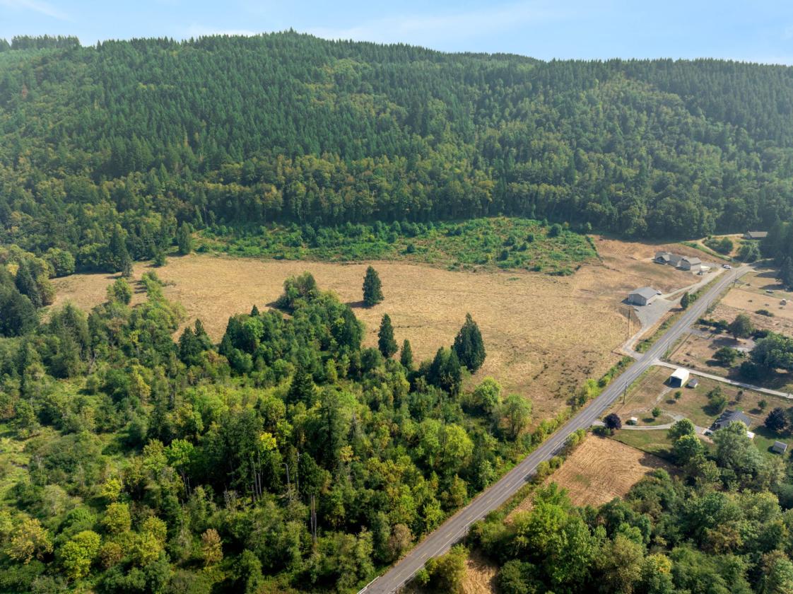 33.59 Acres with Barn, Shop & Mt. St. Helens Views - photo 15