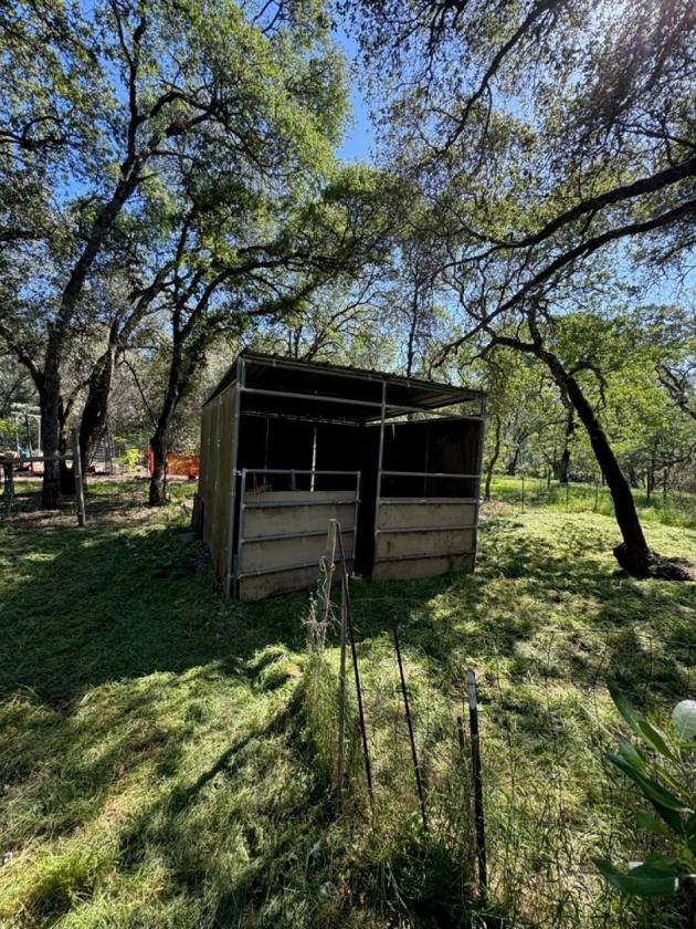 Beautiful Country home for the family on 5+ AC - photo 29