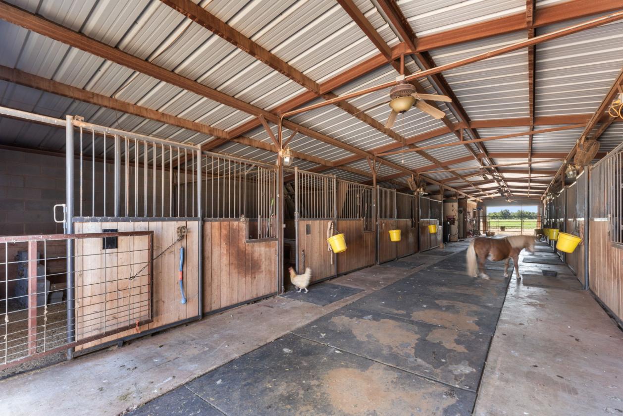North Texas Horse Property with Irrigation - photo 5