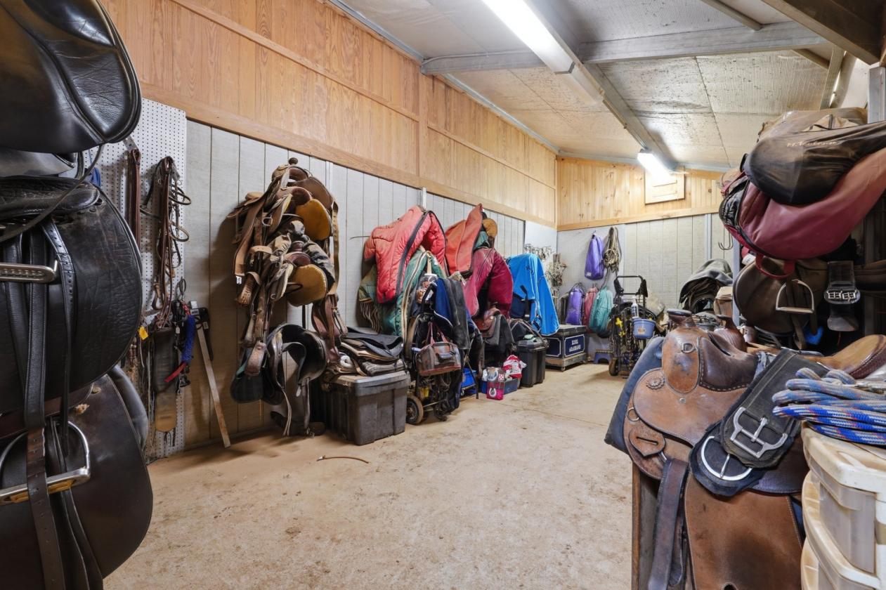 Premier 51± Acre Equestrian Opportunity - photo 15