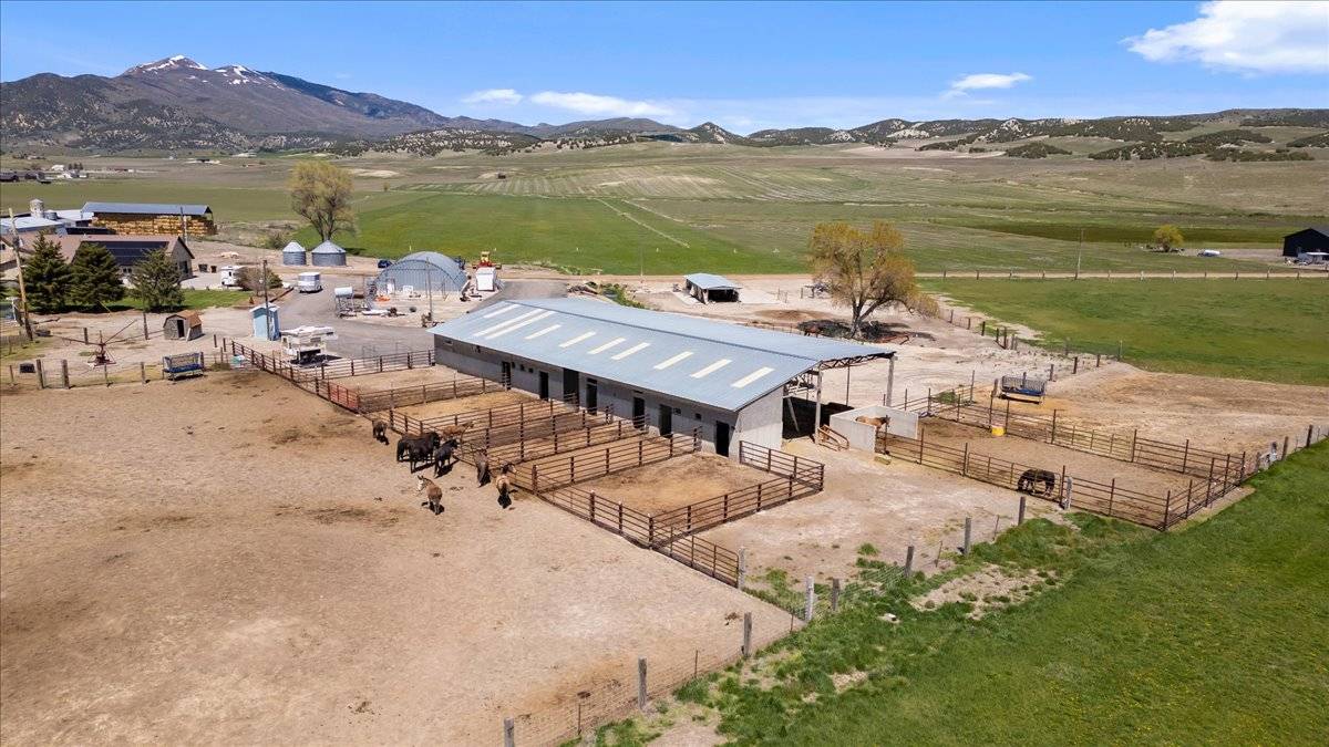 Horse Property for sale.