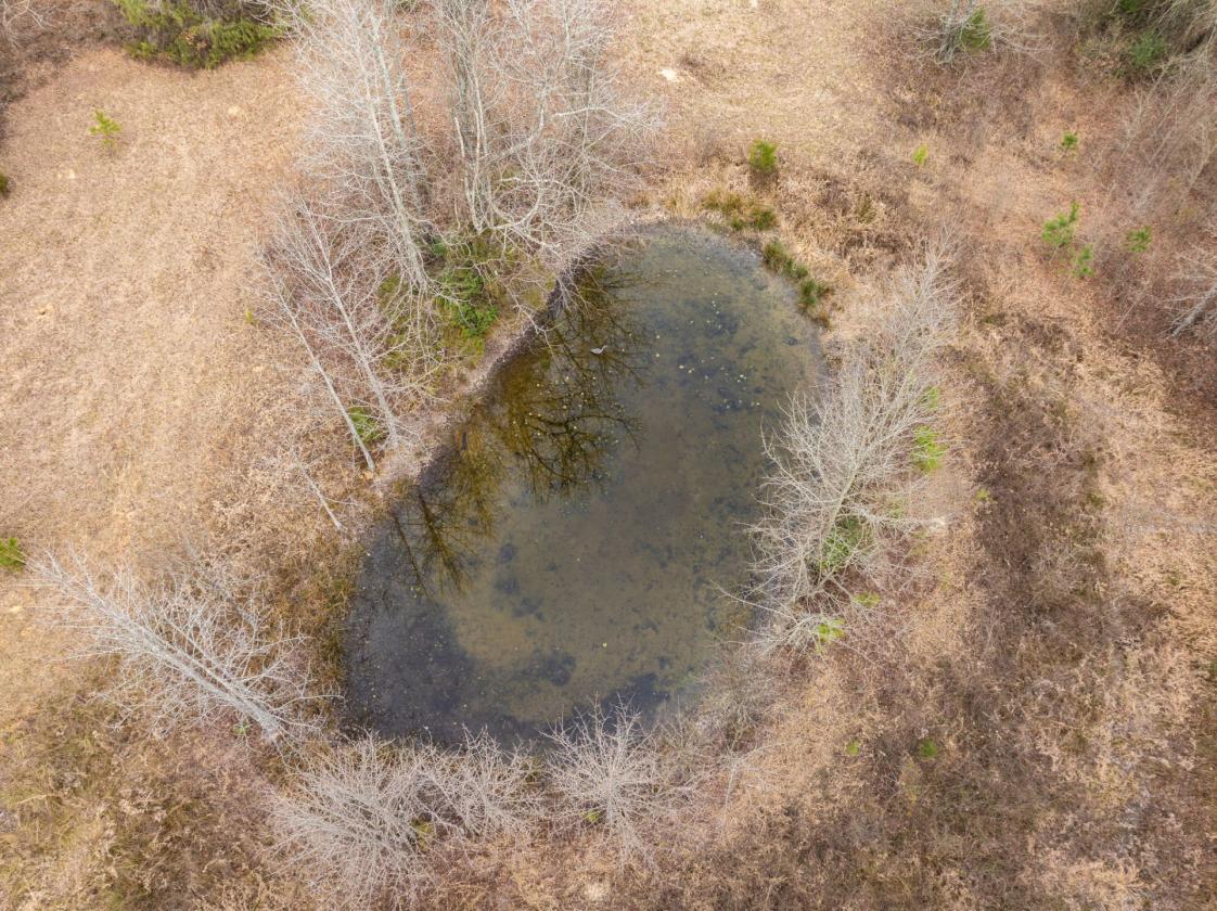 Home with 50 Acres & Ouachita Nat. Forest Access - photo 25