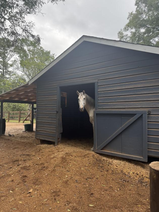 Horse Property Minutes from UGA - photo 21