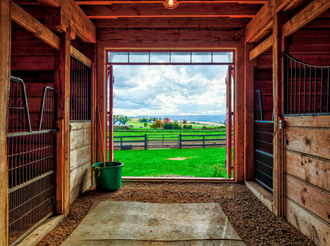 97 Acre Horse Farm in Cooperstown, NY Springfield Center, Otsego County, New York