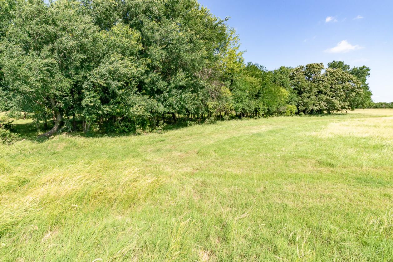 117.5 Acre Horse & Cattle & Rec. Property - photo 18