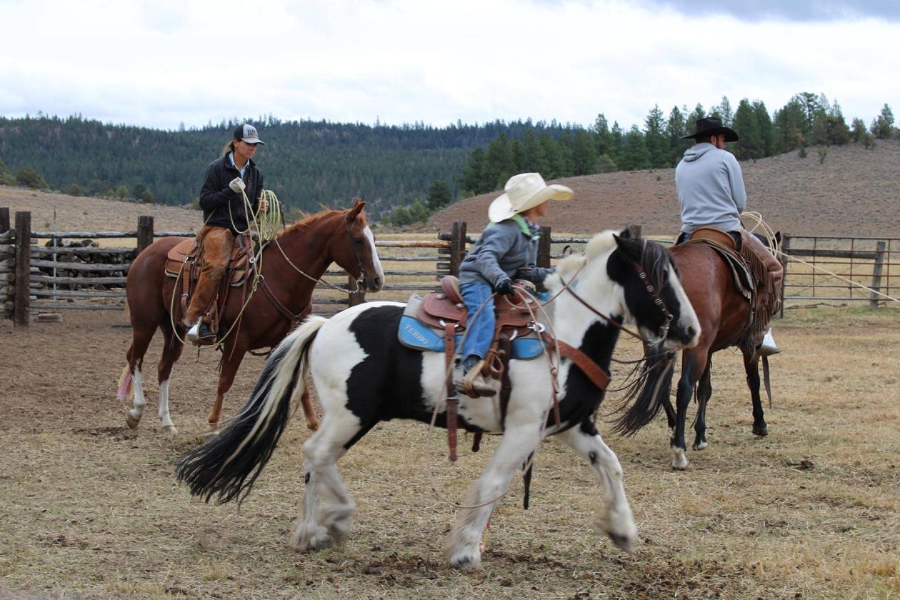 Aspen Ridge Ranch - photo 4