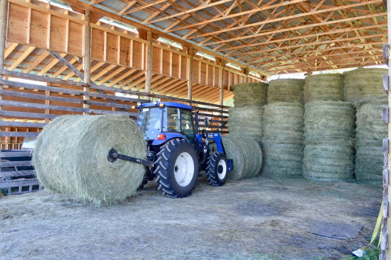 LIMESTONE MOUNTAIN RANCH HORSES, CATTLE, RECREATION Big Lake Ranch