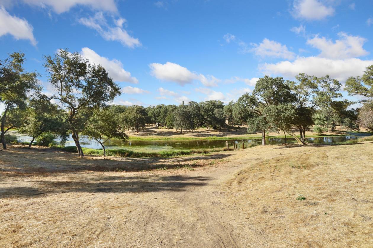 Estate with 7 pastures, 2 homes, lake, Vineyard - photo 25