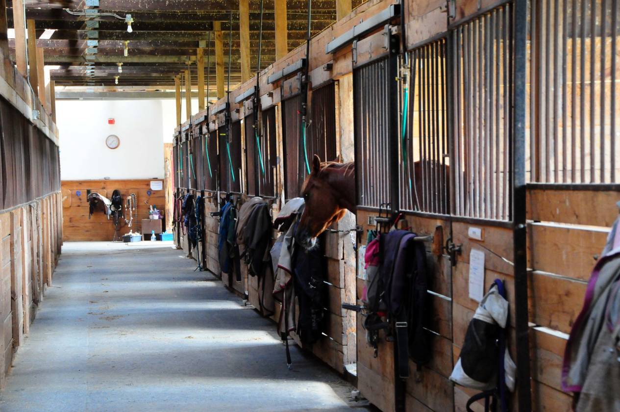 Spectacular equestrian estate in beautiful Vermont river valley