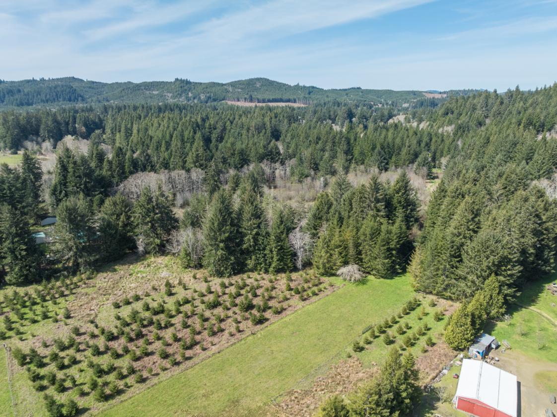 Home with Barn and nearly 24 Acres of fenced land - photo 18